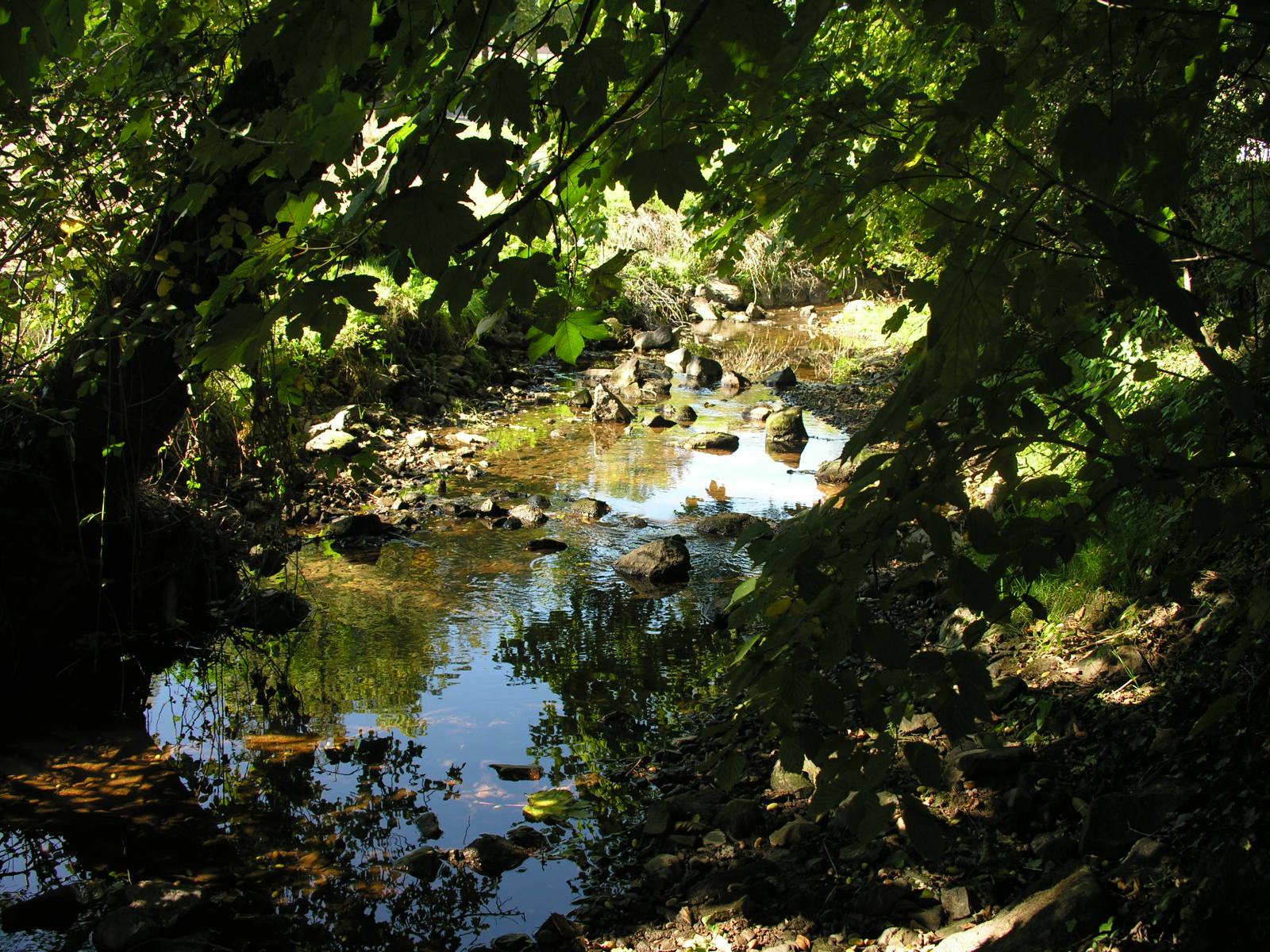 Fonds d'cran Nature Fleuves - Rivires - Torrents Manque d'eau........