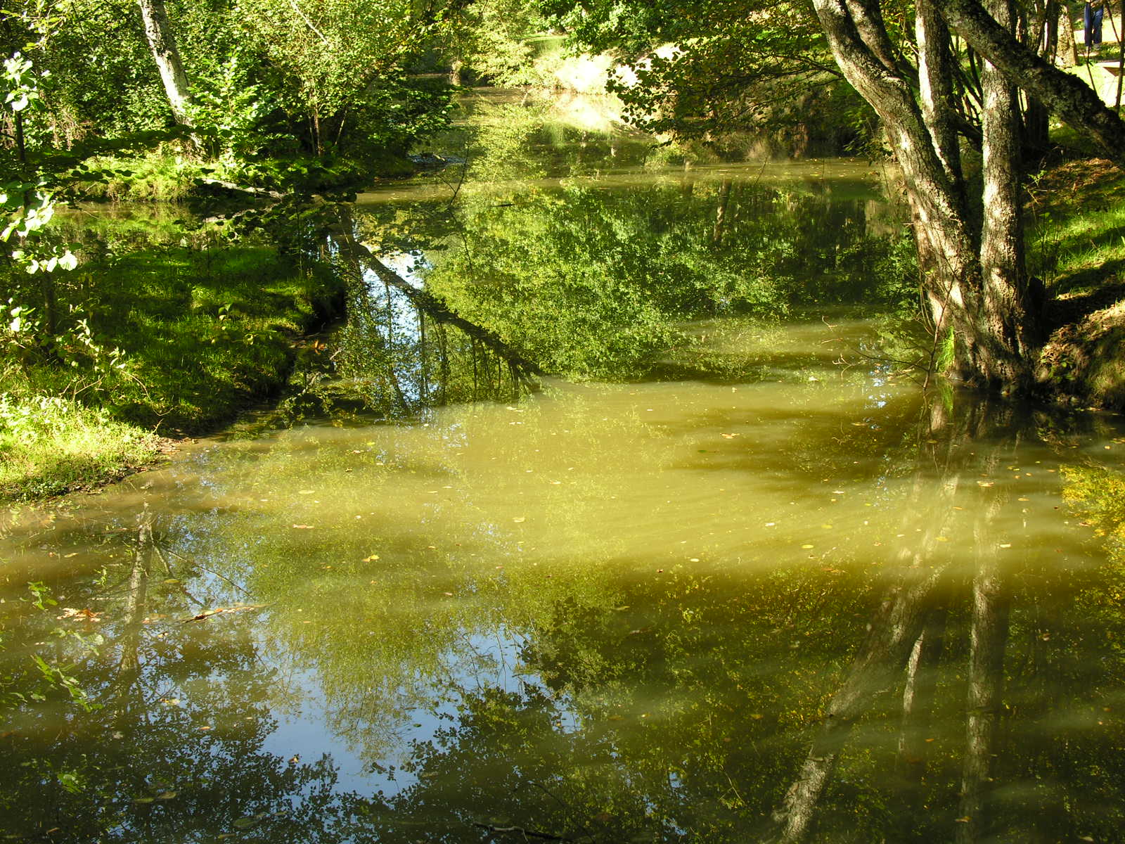 Fonds d'cran Nature Couchers et levers de Soleil Mlange d'eau et de reflets