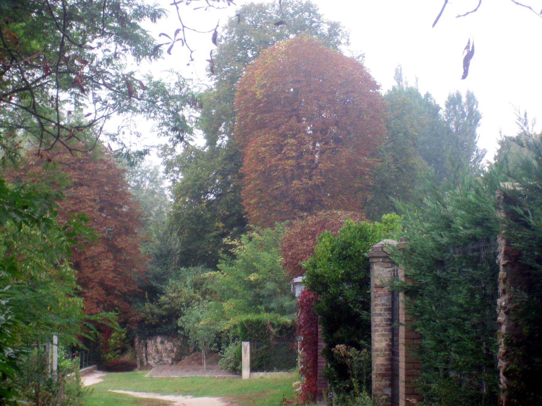 Fonds d'cran Nature Saisons - Automne Au dtour du chemin