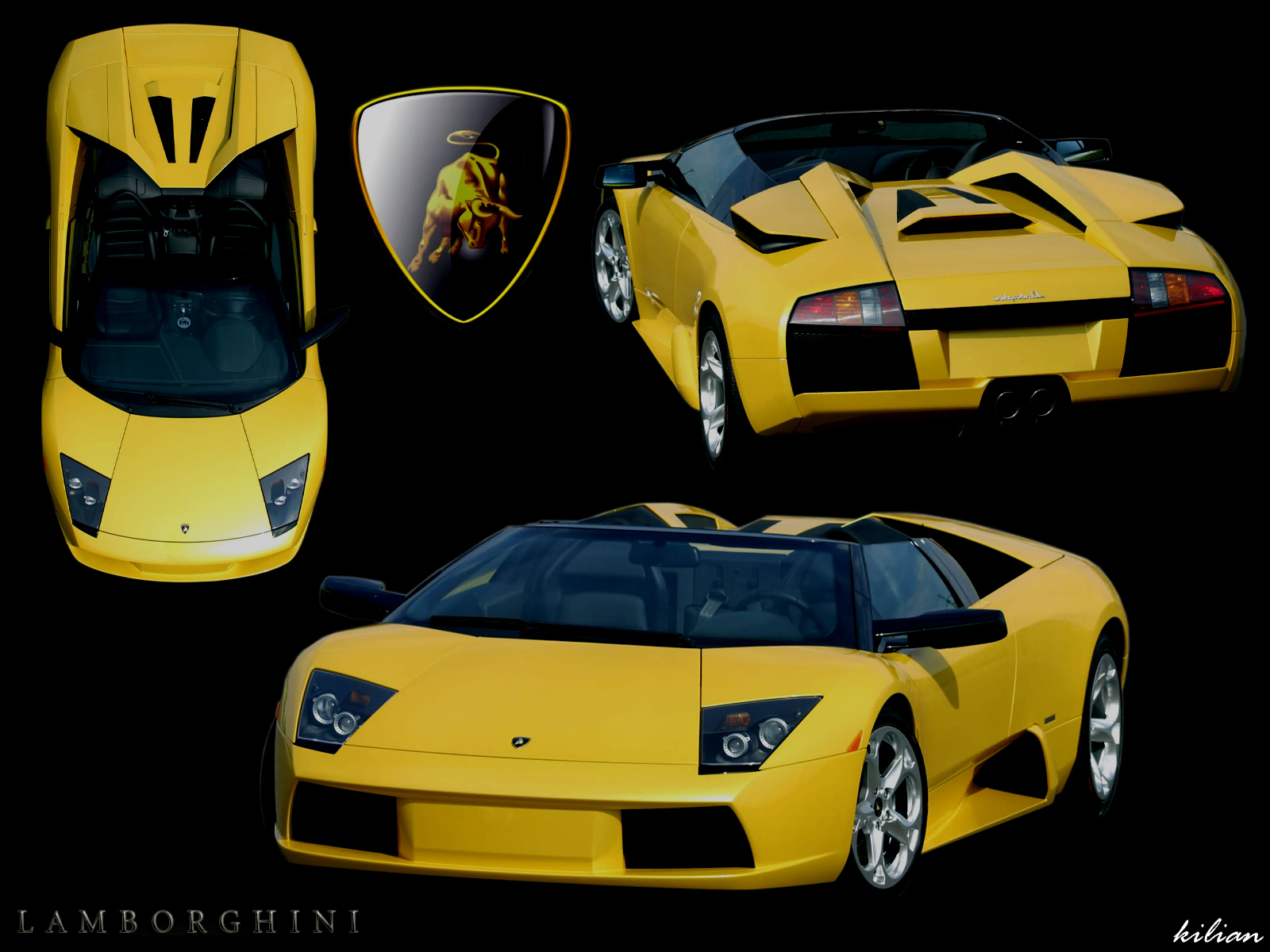 Wallpapers Cars Lamborghini lamborghini