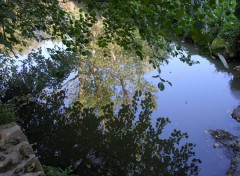 Fonds d'cran Nature Reflets