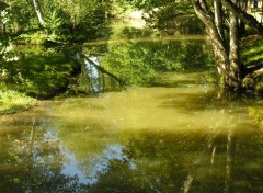 Fonds d'cran Nature Mlange d'eau et de reflets