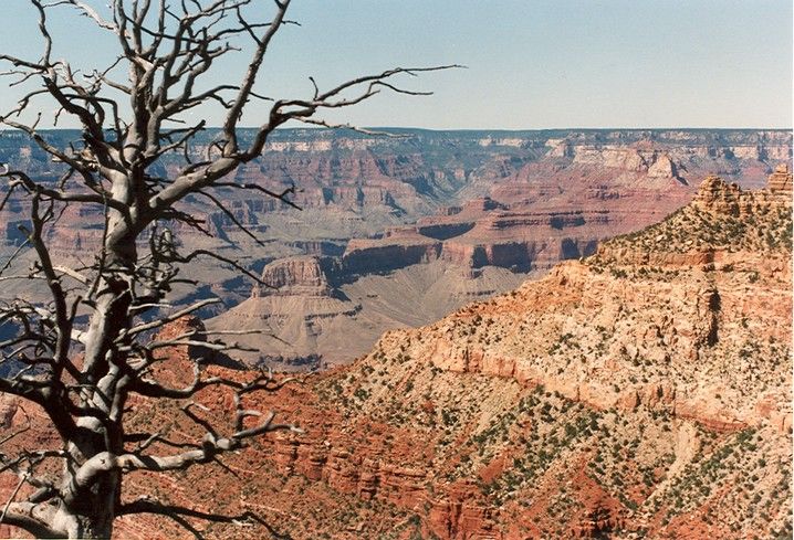 Fonds d'cran Voyages : Amrique du nord Etats-Unis le grand canyon