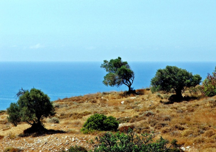 Fonds d'cran Voyages : Asie Chypre Ile de Chypre : Limassol