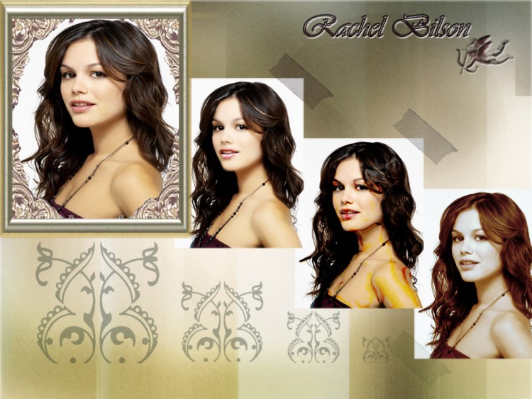 Wallpapers Celebrities Women Rachel Bilson Rachel Bilson- Summer