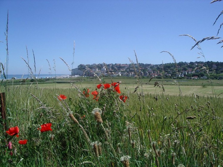 Fonds d'cran Nature Paysages Criel plage