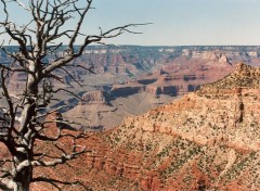 Fonds d'cran Voyages : Amrique du nord le grand canyon