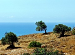 Fonds d'cran Voyages : Asie Ile de Chypre : Limassol