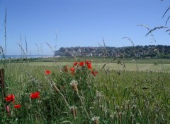 Fonds d'cran Nature Criel plage