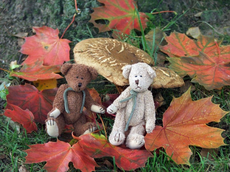 Fonds d'cran Objets Peluches Petits OUrs d'automne....