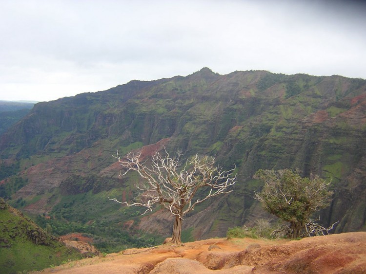 Fonds d'cran Nature Paysages contraste