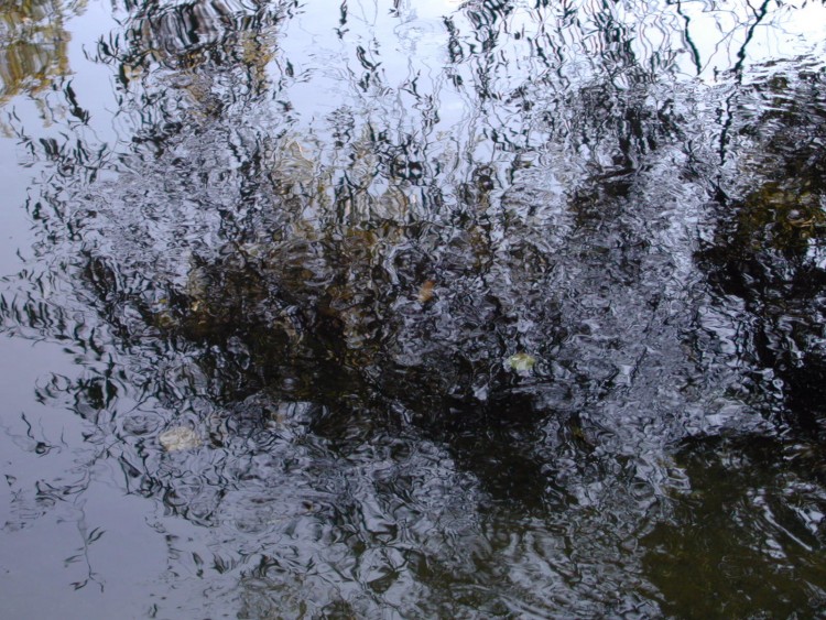 Wallpapers Nature Water - Reflection Reflets