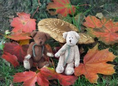 Fonds d'cran Objets Petits OUrs d'automne....