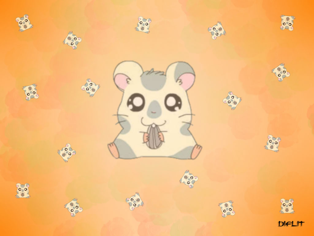 Fonds d'cran Dessins Anims Hamtaro Hamidou 001