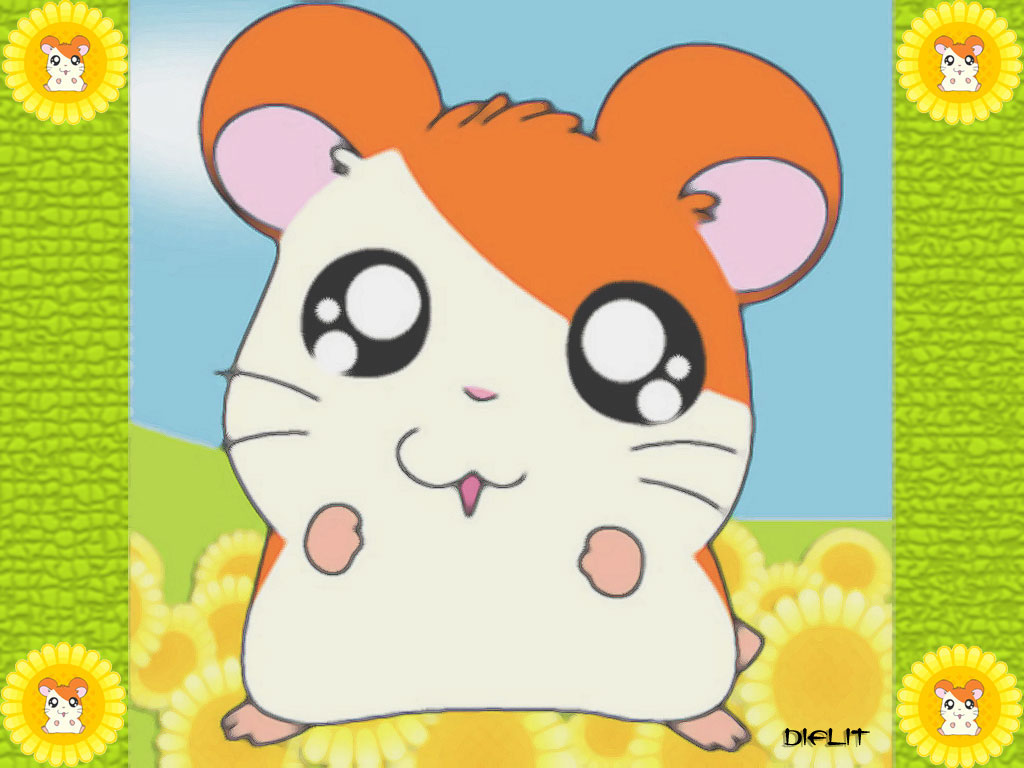 Wallpapers Cartoons Hamtaro Hamtaro Tournesol