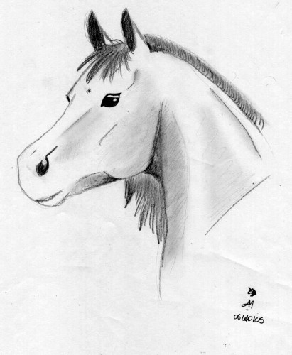 Fonds d'cran Art - Crayon Animaux - Chevaux Eclair de Lune