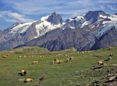 Wallpapers Nature Les Ecrins