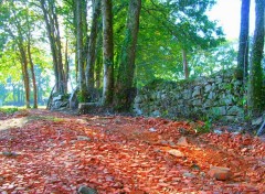 Fonds d'cran Nature Chemin de Tuiles...