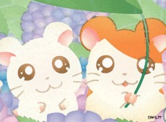 Wallpapers Cartoons Hamtaro aquarelle