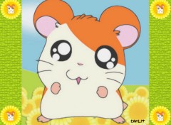 Wallpapers Cartoons Hamtaro Tournesol