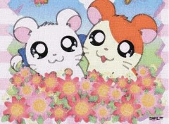 Wallpapers Cartoons Hamtaro sur toile