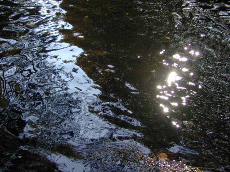 Wallpapers Nature Water - Reflection Reflets