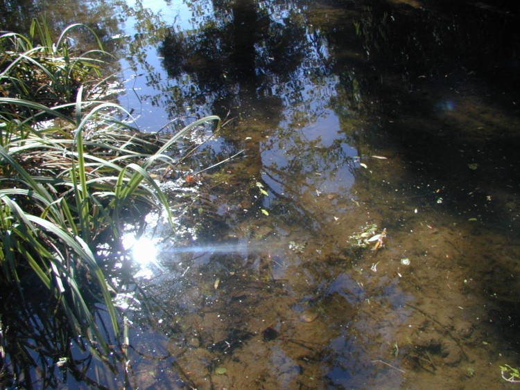 Wallpapers Nature Water - Reflection Reflets