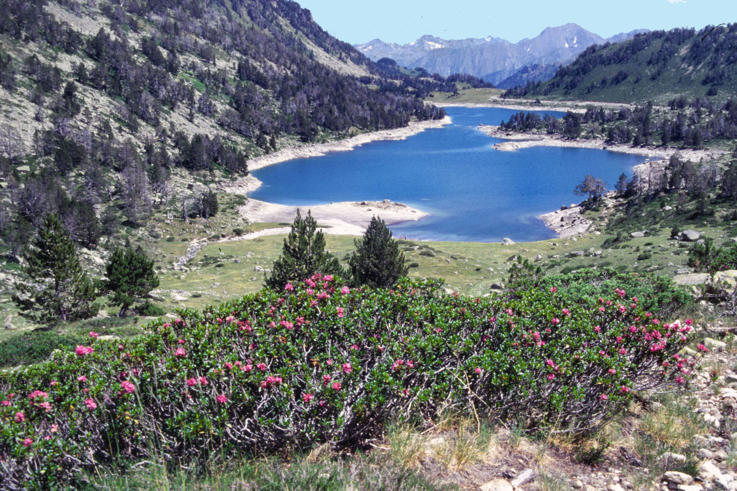 Fonds d'cran Nature Lacs - Etangs Pyrnes