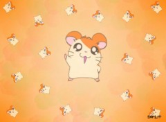 Wallpapers Cartoons Hamtaro 001