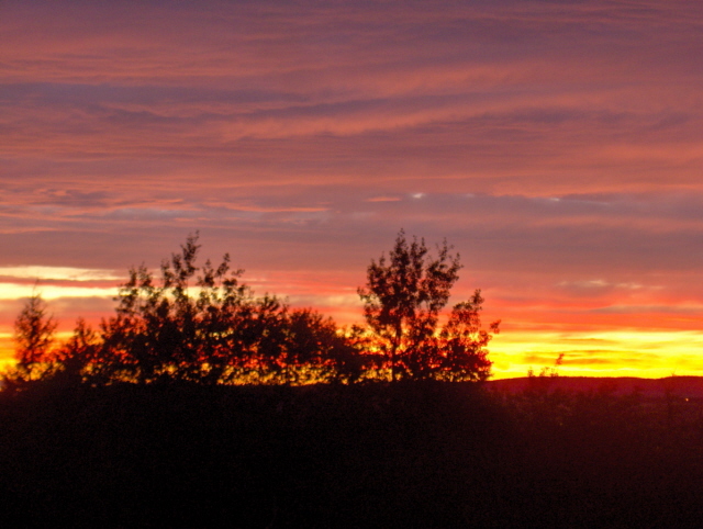 Fonds d'cran Nature Couchers et levers de Soleil Bosquet flamb de Juillet