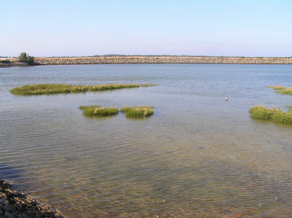 Fonds d'cran Nature Mers - Ocans - Plages Noirmoutier