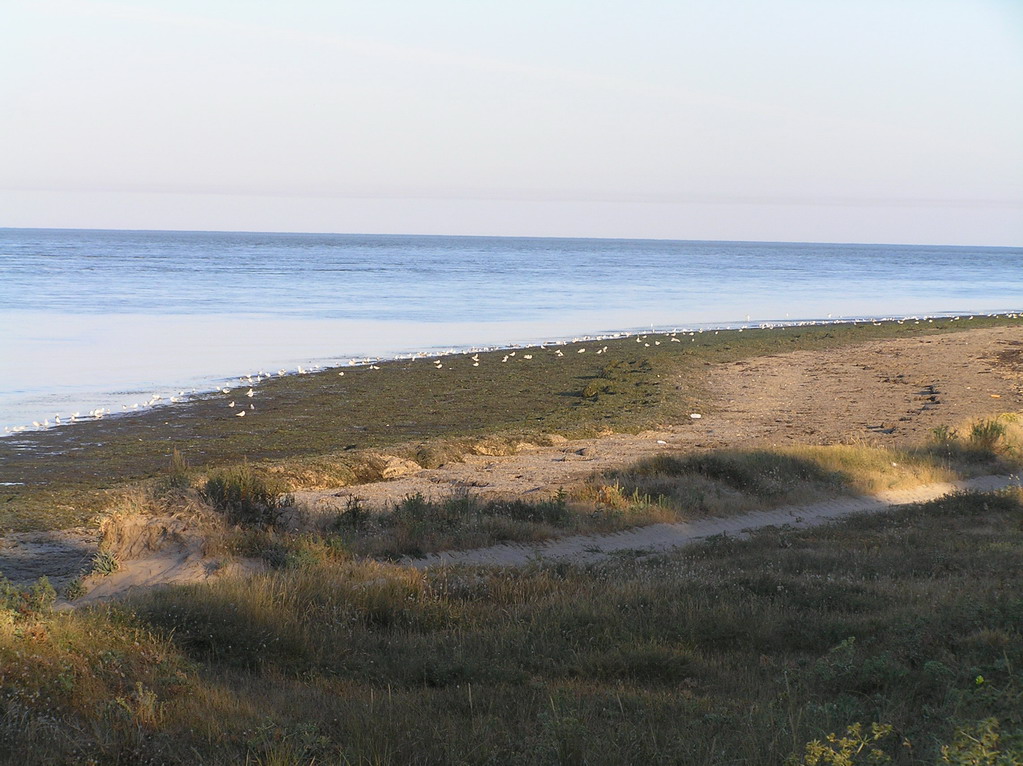 Fonds d'cran Nature Mers - Ocans - Plages plage