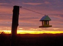 Wallpapers Nature Coucher de soleil dans la campagne d'Adstock