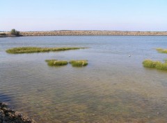 Wallpapers Nature Noirmoutier