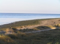 Fonds d'cran Nature plage