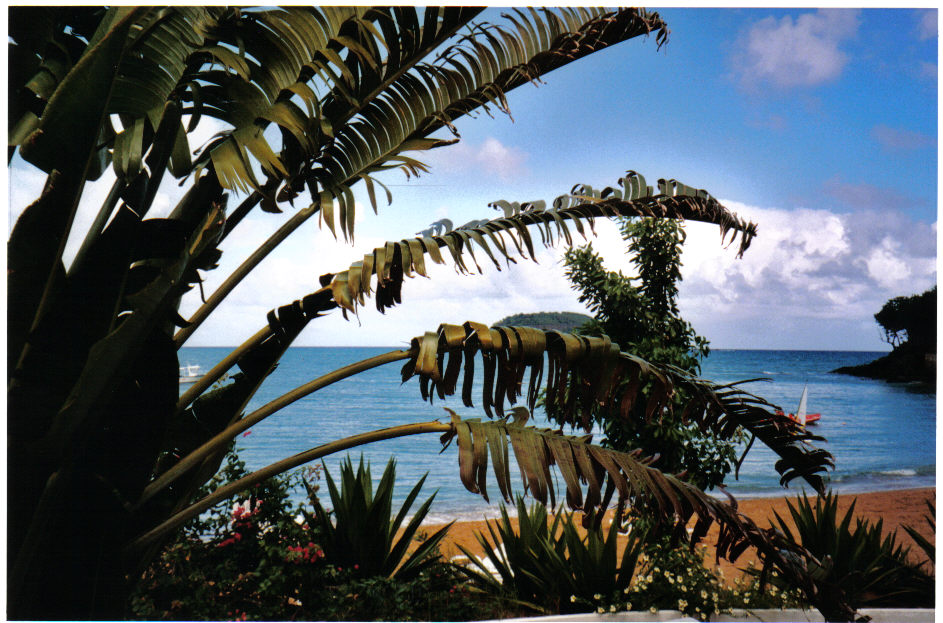 Fonds d'cran Voyages : Amrique du nord La Guadeloupe SOUVENIRS