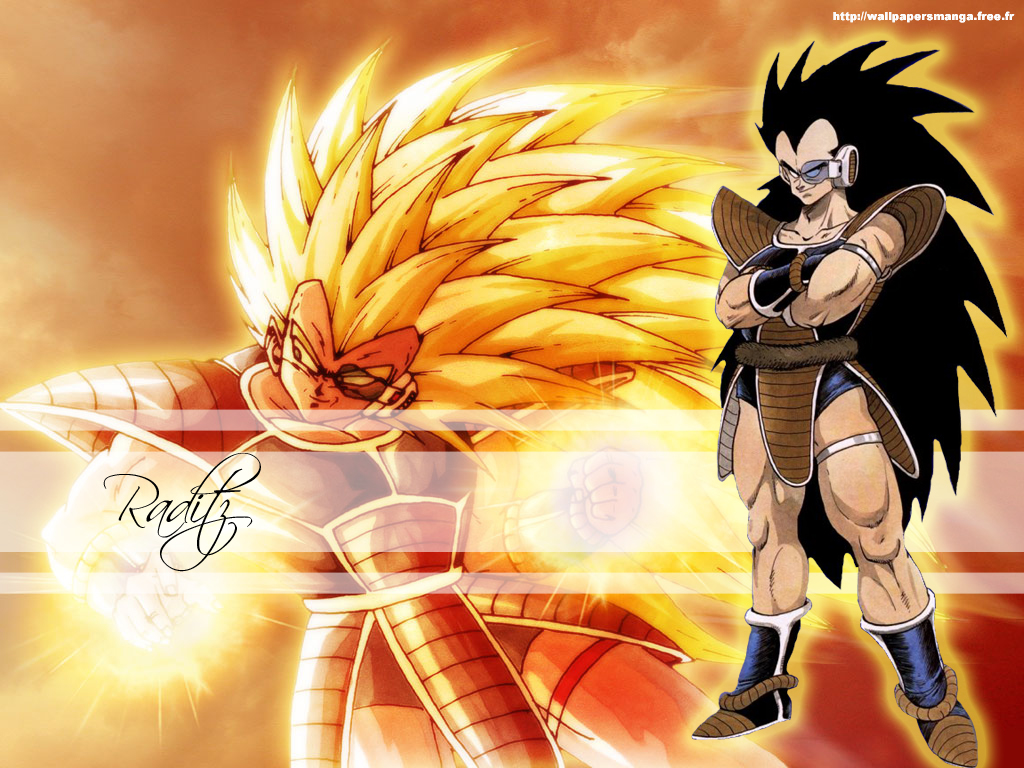 Fonds d'cran Manga Dragon Ball Z raditz saiyans univers dbz