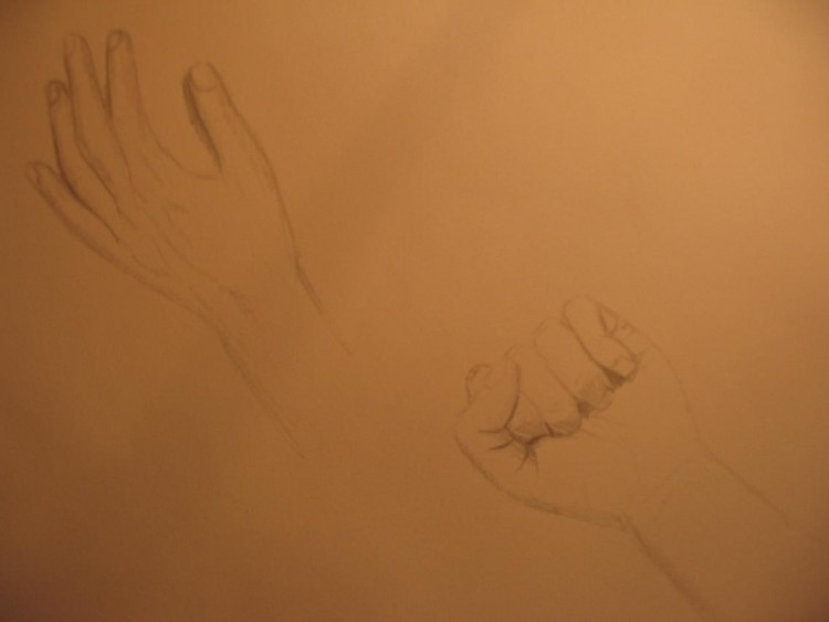 Wallpapers Art - Pencil Hands, feet, skeletons Wallpaper N118346