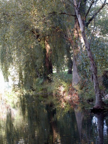 Fonds d'cran Nature Fleuves - Rivires - Torrents Le Fusain