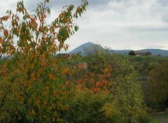 Wallpapers Nature Le Puy-de-Dme en automne