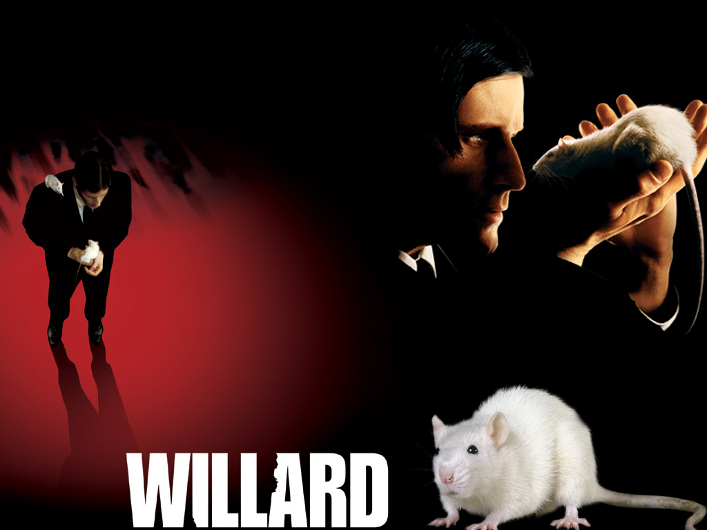 Fonds d'cran Cinma Willard Willard