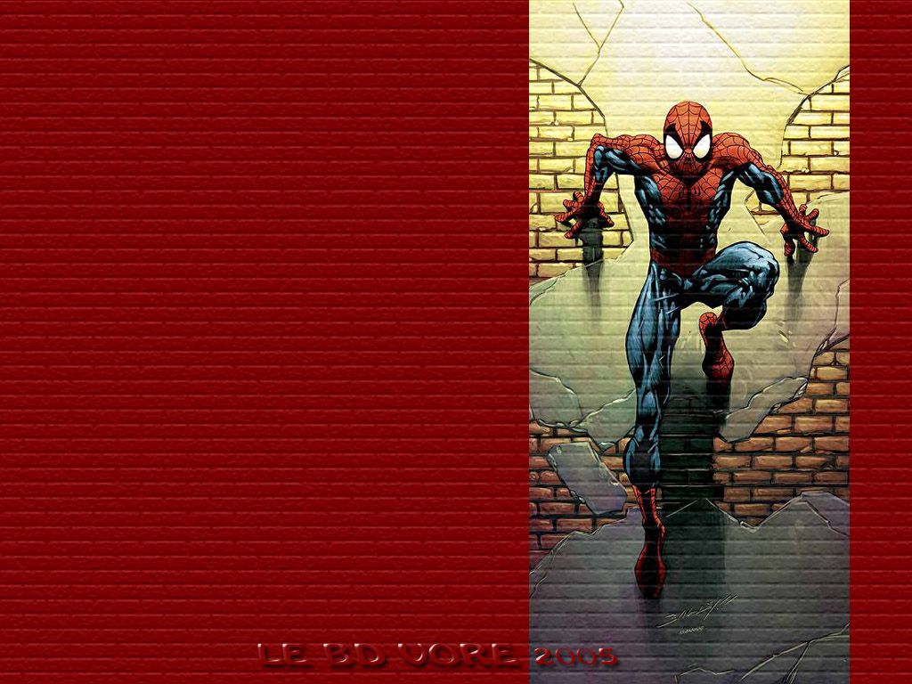 Wallpapers Comics Spider Man Wall paper de brique et de broc !