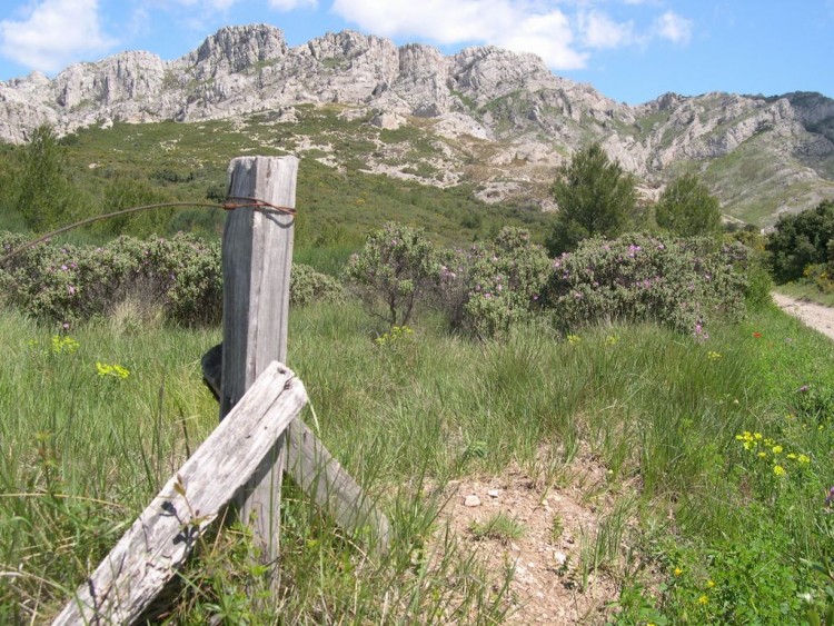 Fonds d'cran Voyages : Europe France > Provence-Alpes-Cte d'Azur Massif des Alpilles (13)