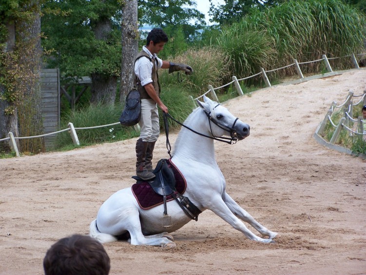 Fonds d'cran Animaux Chevaux Wallpaper N118610