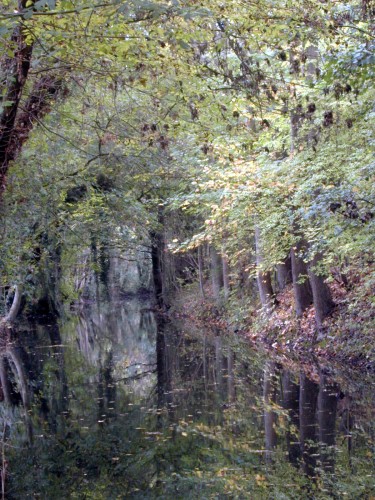 Wallpapers Nature Water - Reflection Reflets