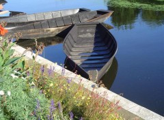 Wallpapers Boats Marais Poitevin