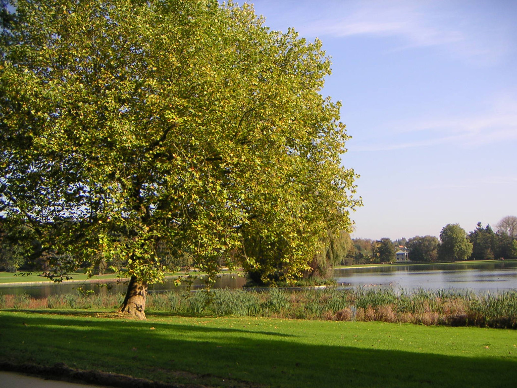 Wallpapers Nature Parks - Gardens Parc de Tervuren (Belgique)