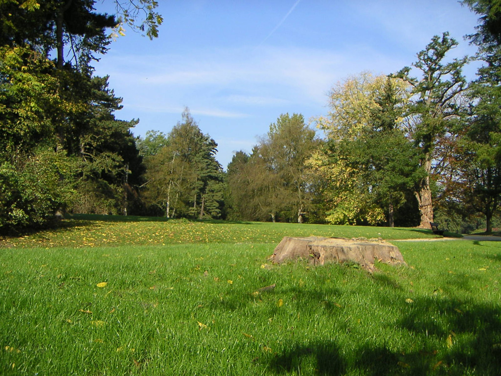 Fonds d'cran Nature Parcs - Jardins Parc de Tervuren (Belgique)