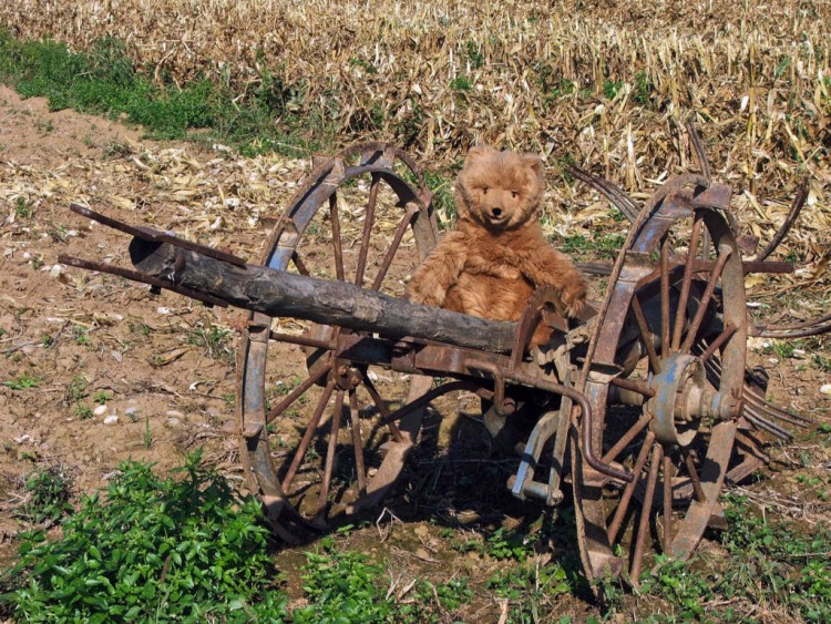 Fonds d'cran Objets Peluches Arthur et le machinisme agricole...