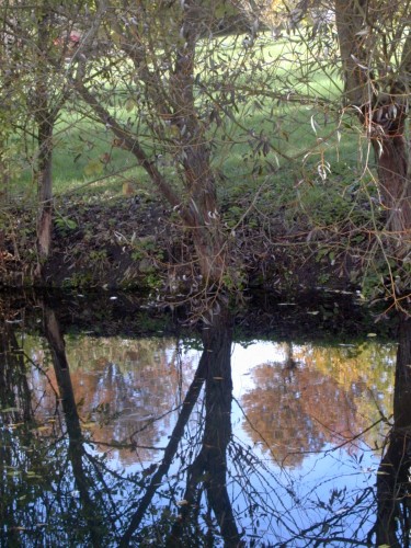 Wallpapers Nature Water - Reflection Reflets